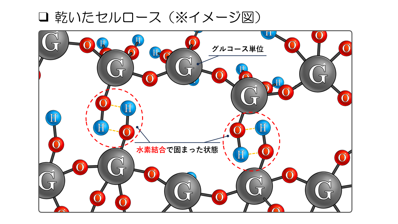 イラストC.PNG