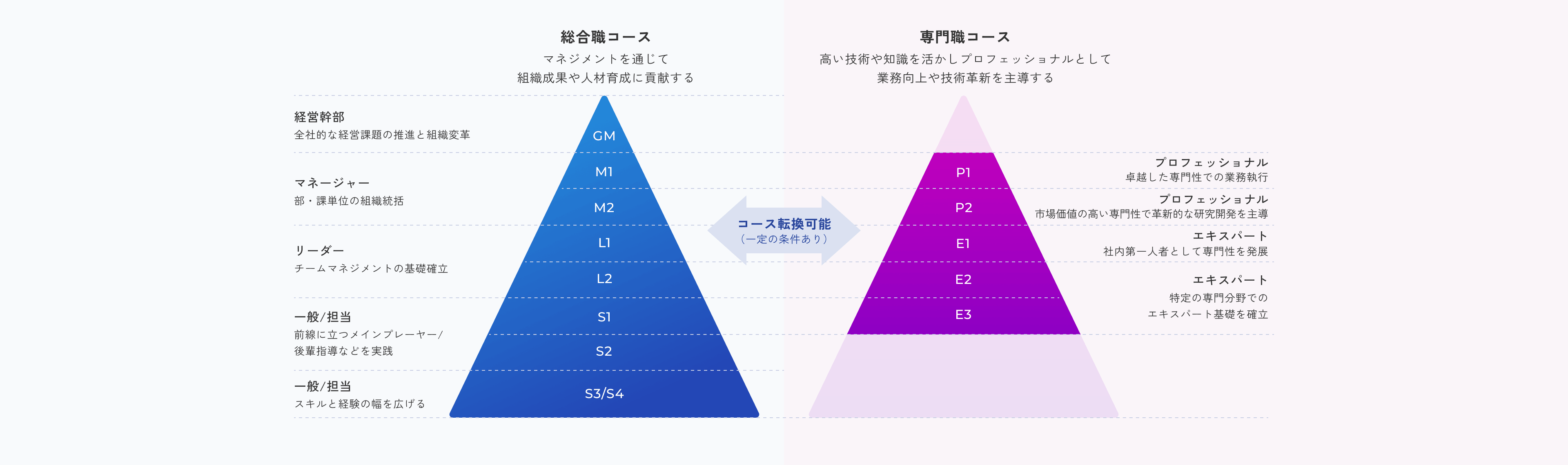 総合職コース：マネジメントを通じて組織成果や人材育成に貢献する。専門職コース：高い技術や知識を活かしプロフェッショナルとして業務向上や技術革新を主導する。コース転換可能（一定の条件あり）